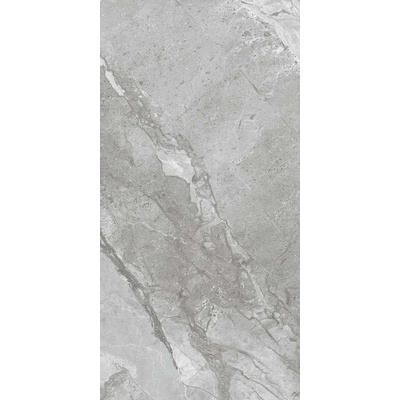 Foshan Vipo Marbles SH126G015 Серый Rect 60x120