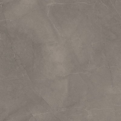 Laparet Splash Grey сатинированный карвинг 60 60x60