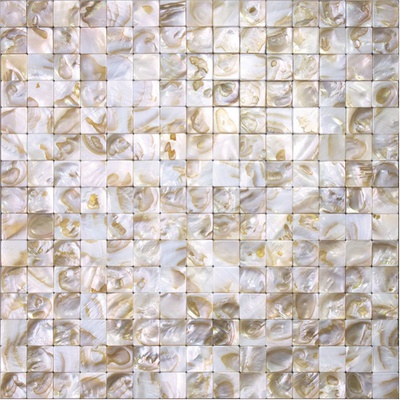 Natural mosaic Shell SMA-12-20 30x30