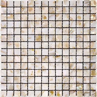 Natural mosaic Shell SMA-03-20 30.5x30.5