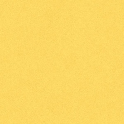 Bardelli Colore &amp; Colore Желтый 20x20