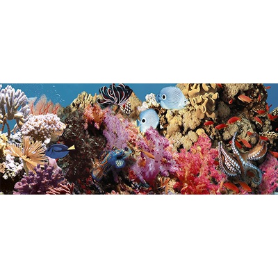 Ceradim Ocean Reef 1 20x50