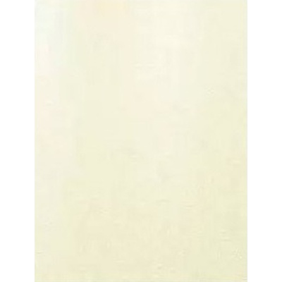 Lasselsberger (LB-Ceramics) Катар 1034-0157 Белый 25x33