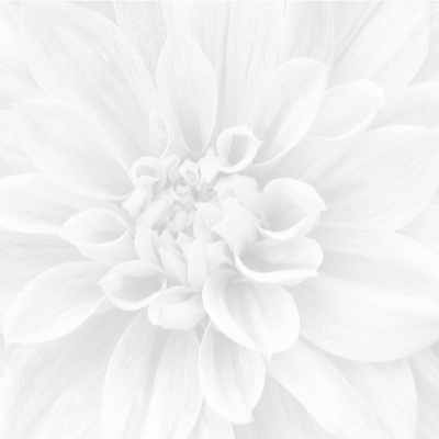 Laparet Sigma 36-05-00-463-0 Crisantemo 60x60