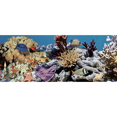 Ceradim Ocean Reef 2 20x50