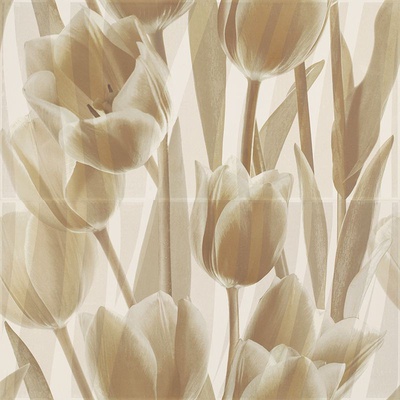 Grupa Paradyz Coraline Panel Tulipany (Компл х2) 60x60