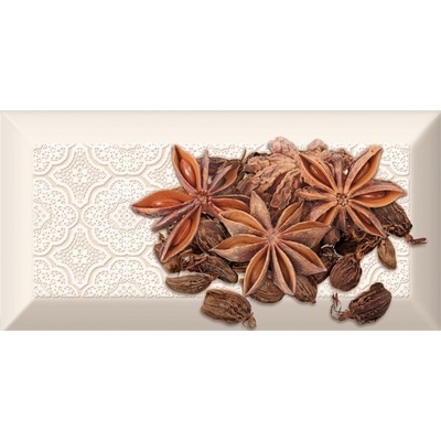 Absolut Keramika Monocolor Decor Spices 04 B 10x20