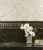 Versace Emote Ottagona Onice Bianco 262730 39x39