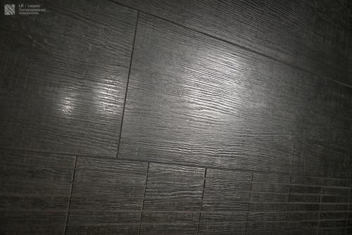 Керамика Будущего Гранит Вуд Эго Светло-серый SR 120x29,5